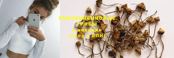 мяу мяу мука Карпинск