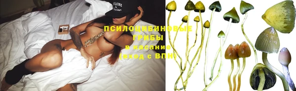 стафф Карталы