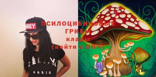 спайс Касимов