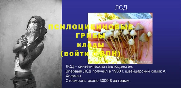 стафф Карталы
